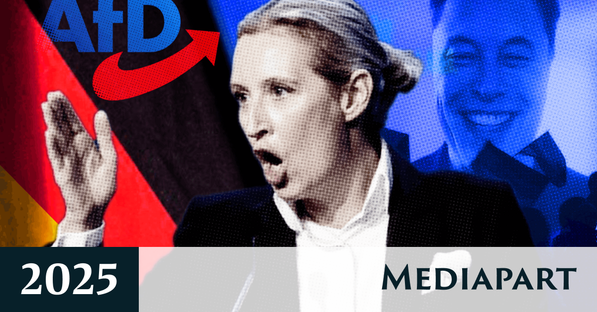 Série : L’AfD, toujours plus extrême 