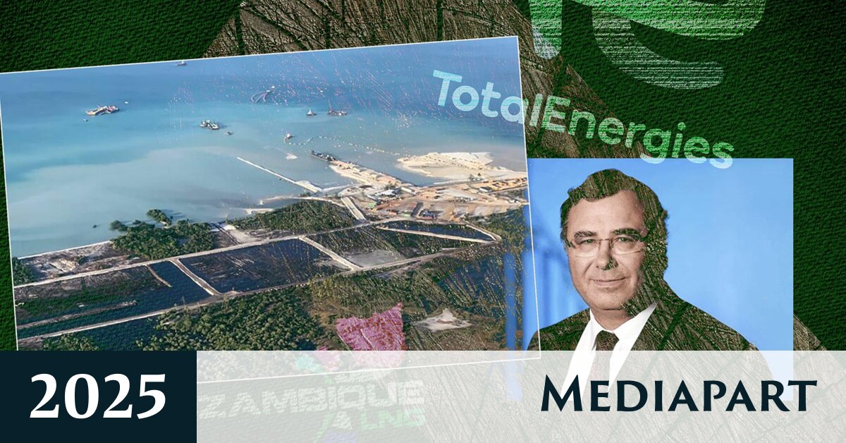 Au Mozambique, les fausses promesses environnementales du mégaprojet de TotalEnergies