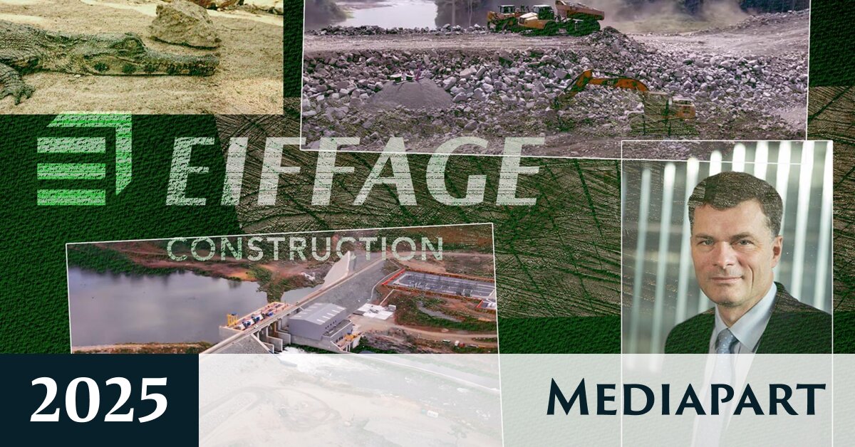 En Côte d’Ivoire, un barrage construit par Eiffage détruit la forêt et les espèces protégées