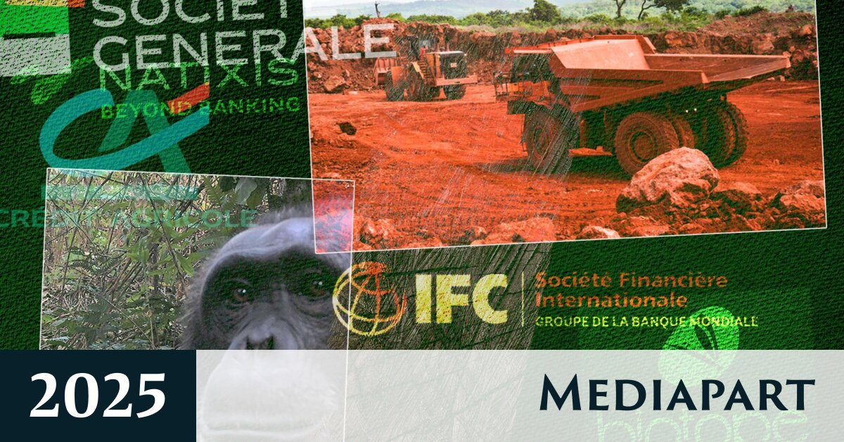 En Guinée, un cabinet et des banques françaises au service de l’écocide minier