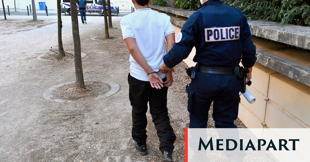 Laurent Nuñez s’engage à supprimer les «indésirables» du vocabulaire policier