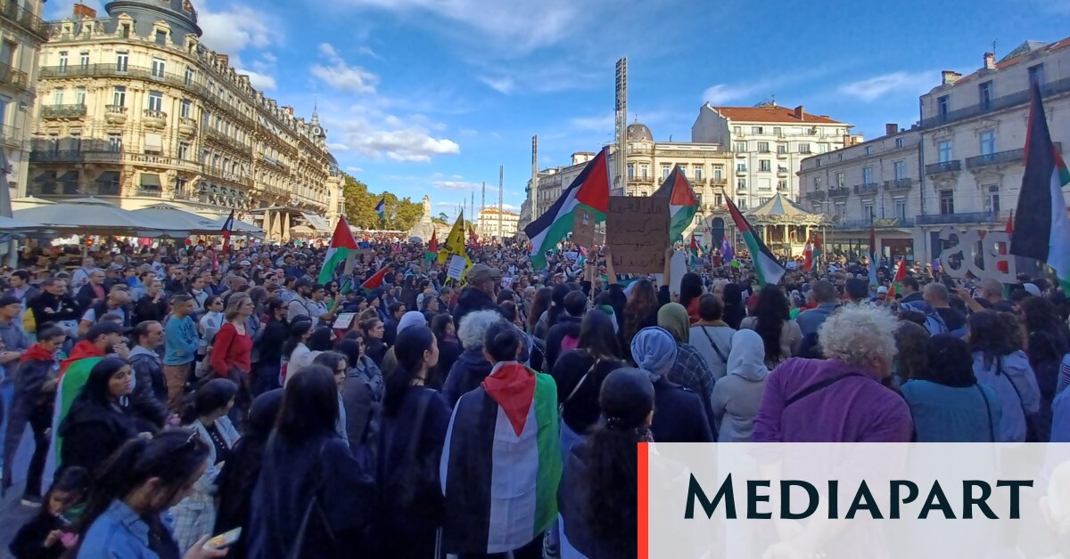 Manifestations pro-Gaza: amendes et tensions à Paris, recueillement à Montpellier