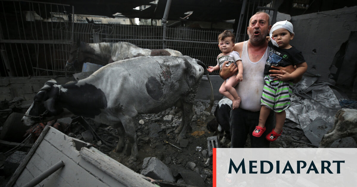 Le fil du jour. À Gaza, pas de cessez-le-feu, situation «désespérée»