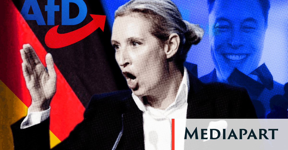 Série : L’AfD, toujours plus extrême 