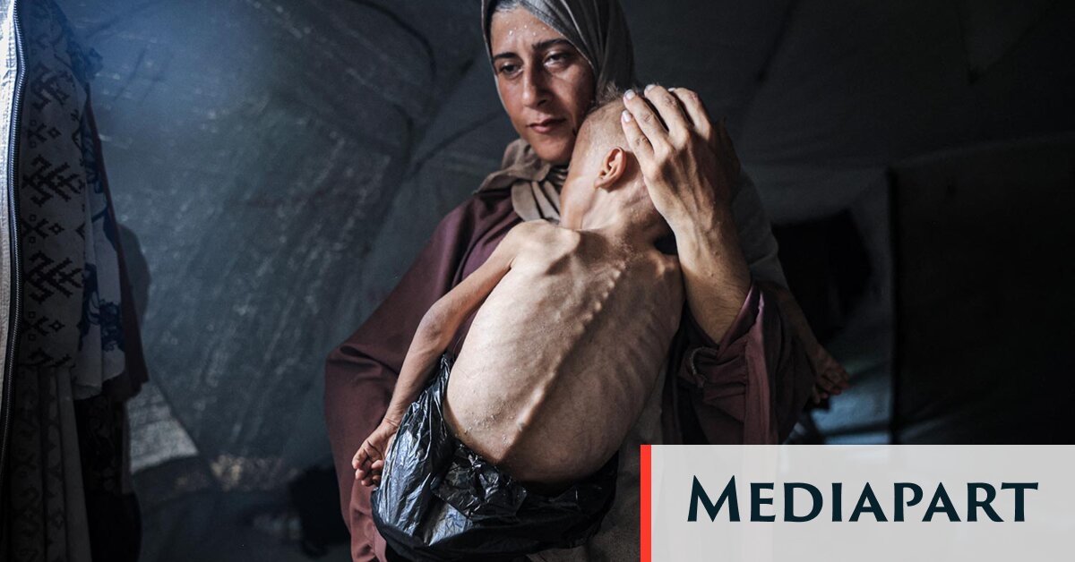 Sur Mediapart : « Sauvez-nous. Nous mourons » : la famine emporte Gaza