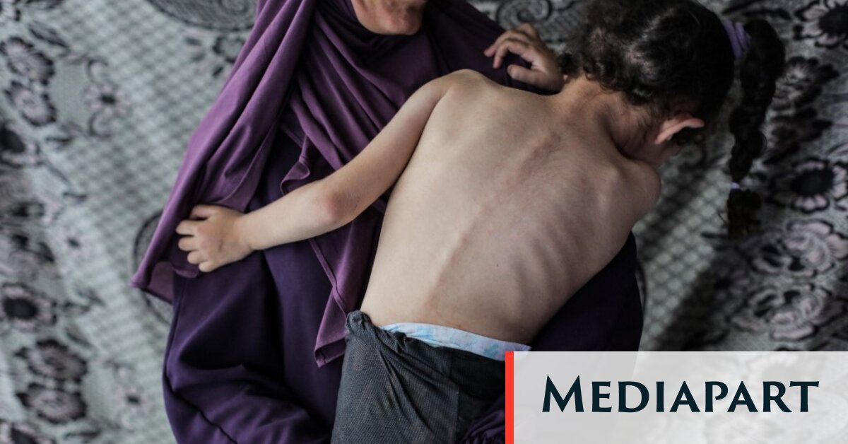 Famine à Gaza : le crime était annoncé