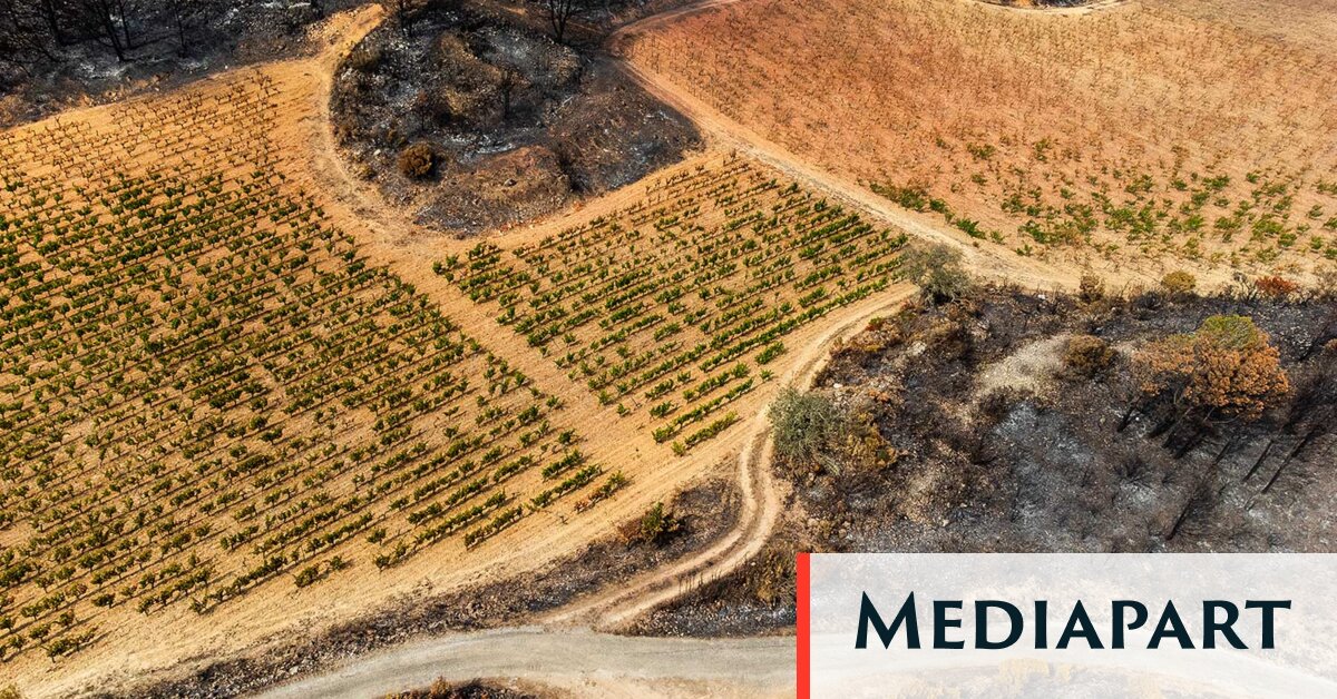 Après les mégafeux, repenser l’habitabilité des régions dévastées