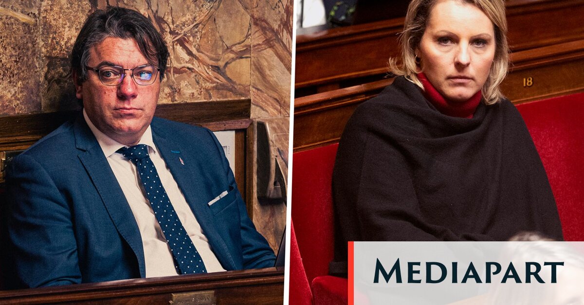 À l’Assemblée, les emplois familiaux croisés de deux députés RN