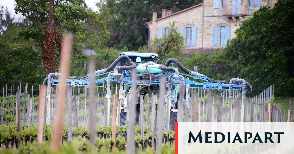 Dans les zones viticoles, des populations plus exposées aux pesticides