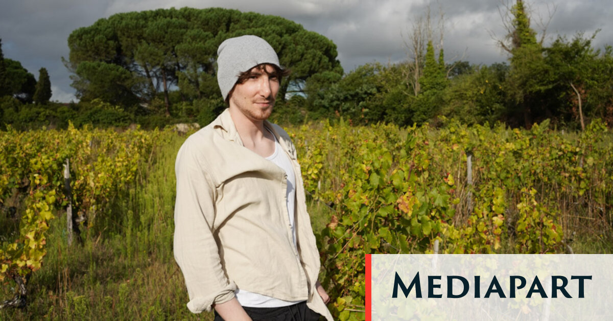 À Preignac, en Gironde, la maladie au milieu des vignes