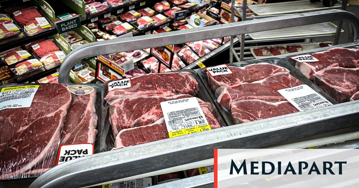 Le lobby de la viande s’en prend à une étude proposant de manger moins d’animaux