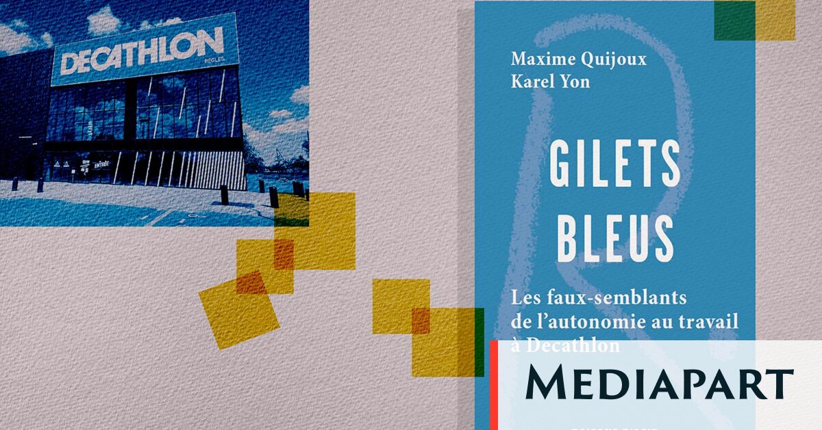 Deux sociologues endossent le gilet bleu Decathlon pour décortiquer ses promesses d’autonomie