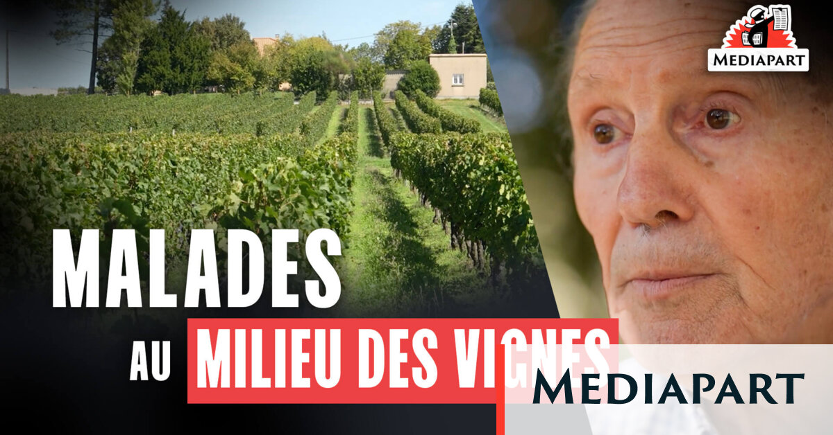 Malades au milieu des vignes, ils veulent comprendre