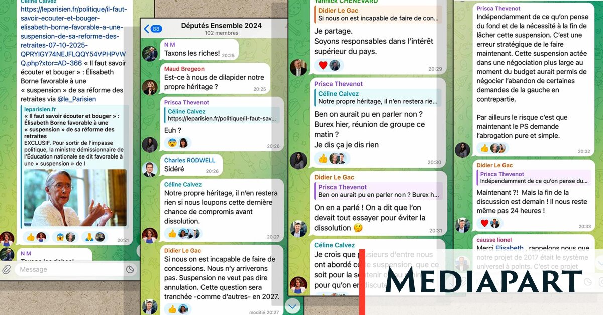 Sur Telegram, une possible suspension de la réforme des retraites met le feu au camp présidentiel