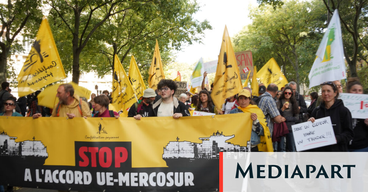 Face à l’accord avec le Mercosur, le « non » catégorique de l’ensemble du monde agricole