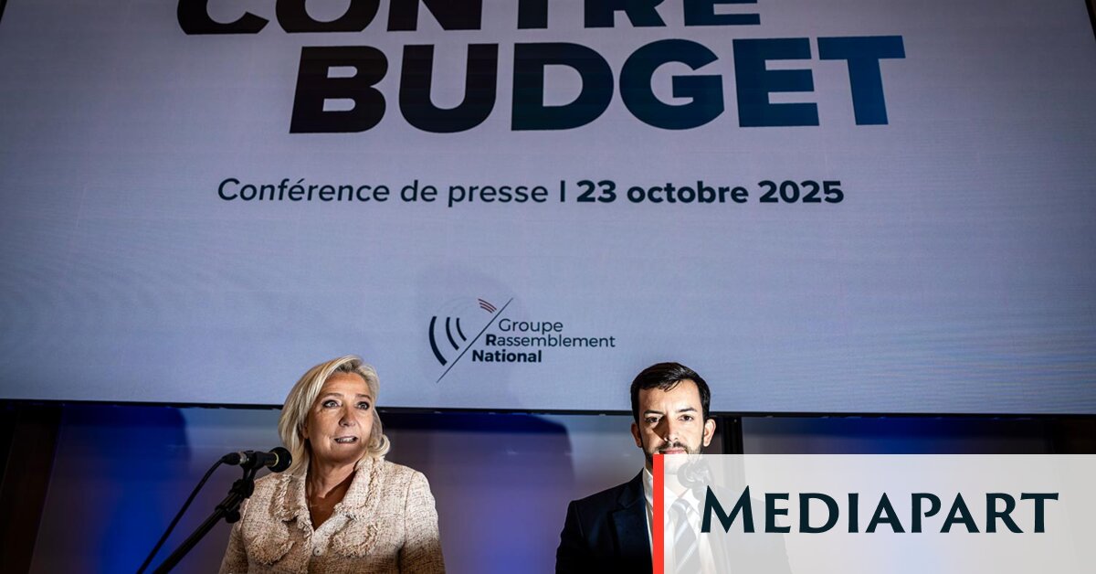 Entre tronçonneuse et baguette magique, le RN présente son contre-budget