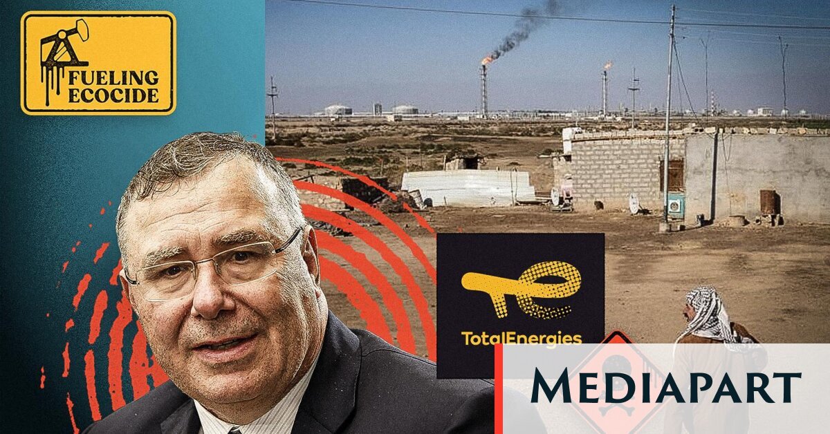En Irak, TotalEnergies saccage un marais classé au patrimoine mondial de l’humanité