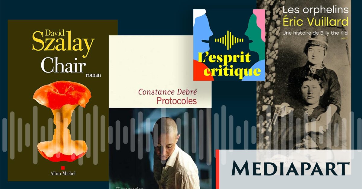 «L’esprit critique» littérature: de la violence en Amérique