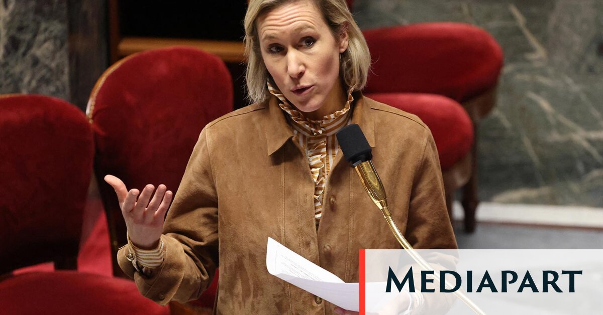 L’Assemblée nationale vote l’interdiction des réseaux sociaux aux moins de 15 ans