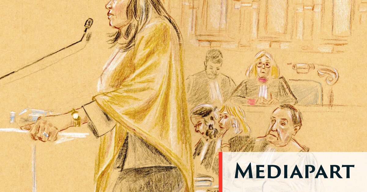 Face à la cour d’appel, les aveux minimums de Catherine Griset