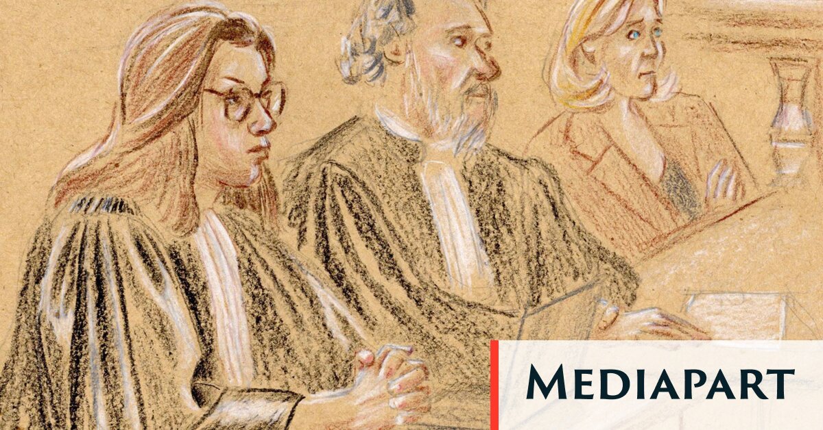 Au procès du RN, les avocats de Marine Le Pen plaident la relaxe… ou une peine clémente