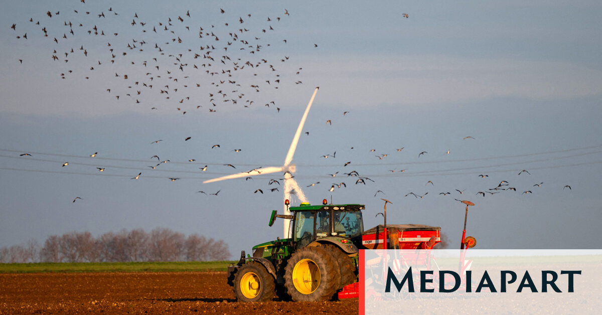 La biodiversité, grande oubliée du Salon de l’agriculture 2026