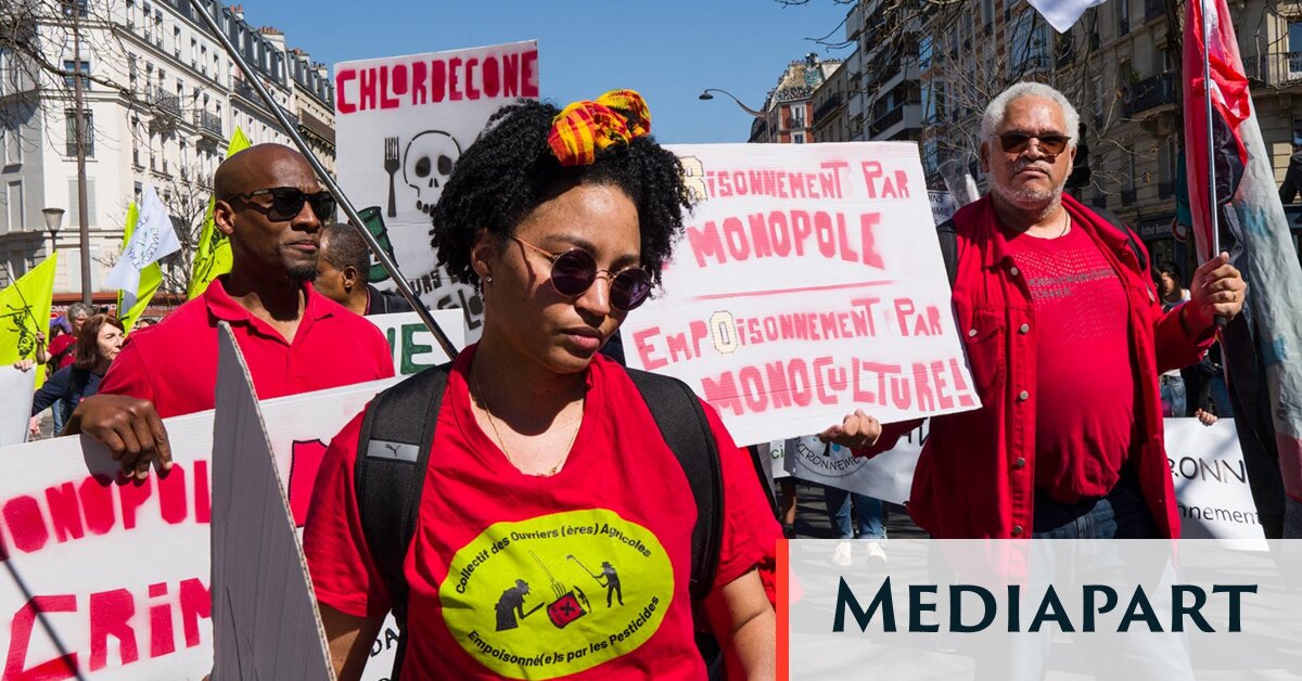 Les militants décoloniaux pressent le mouvement écologiste à se défaire de ses biais racistes