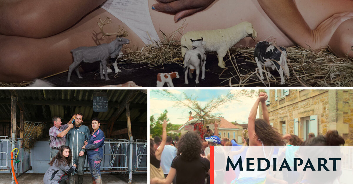 De « Pédale rurale » à « La Gouineraie » : ouvrir d’autres imaginaires pour les campagnes