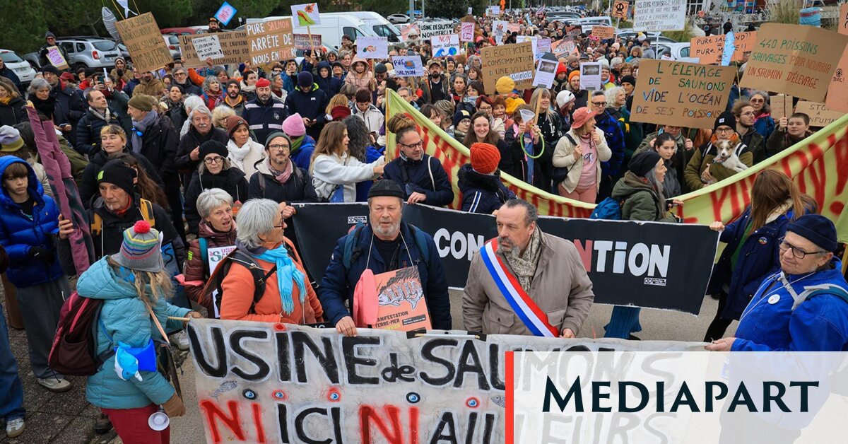 Des projets destructeurs au cœur de la bataille des municipales