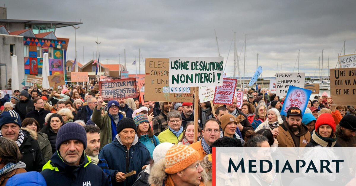 Municipales : des listes citoyennes en progression, face à « une somme de vents contraires »