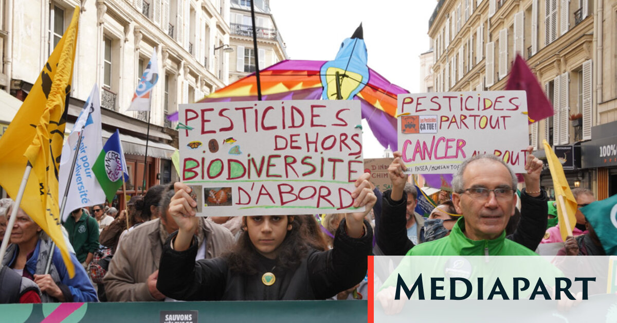 Contre les pesticides, un « printemps bruyant » face à « un pouvoir qui se durcit »