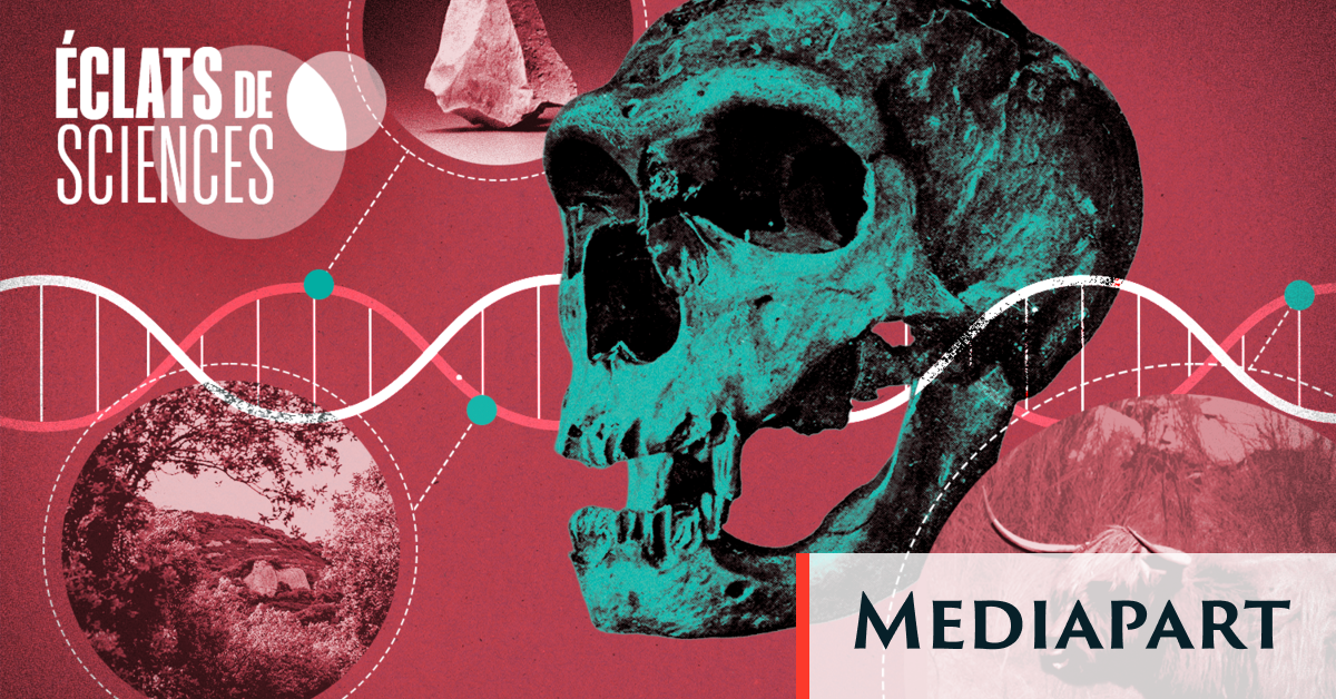 Aux sources du crépuscule de Neandertal