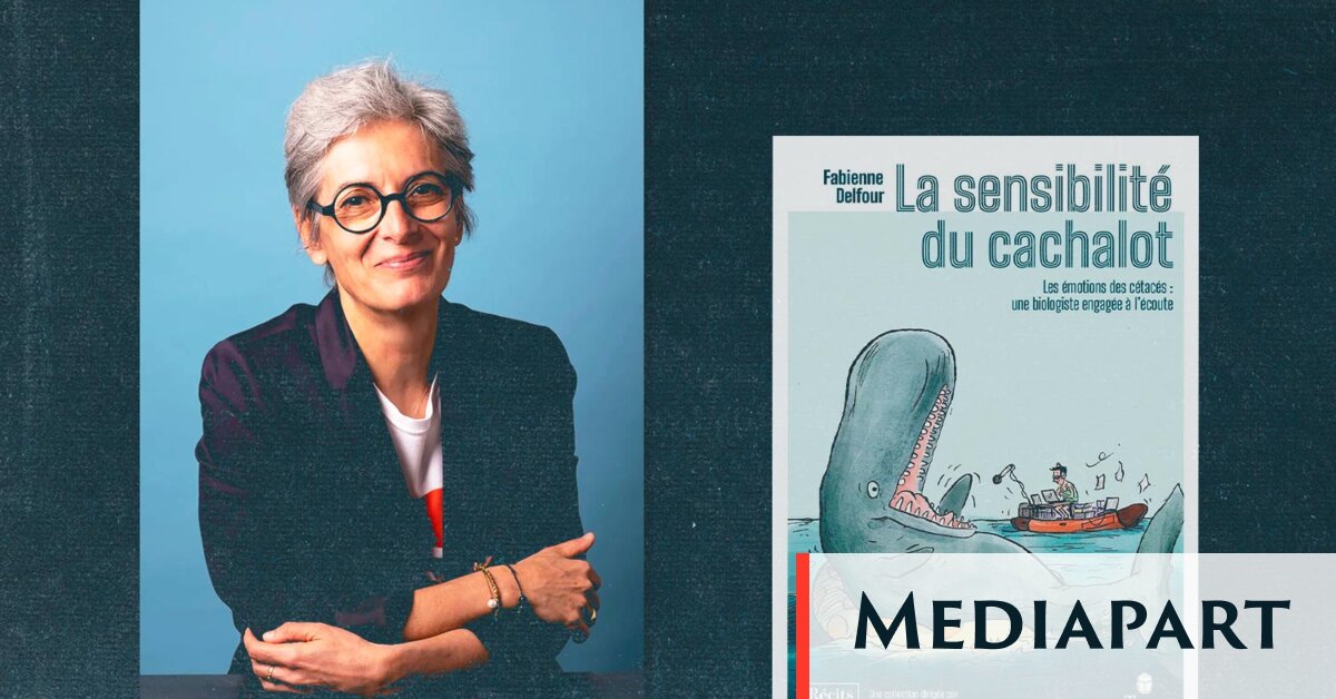 Décoder le langage des cétacés: le pari scientifique de la chercheuse Fabienne Delfour