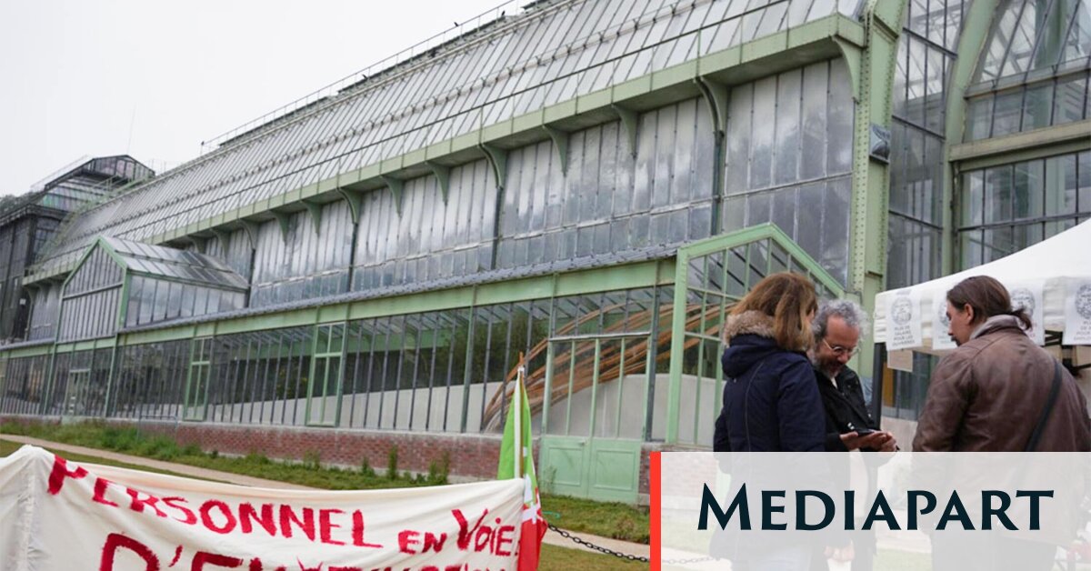 Au Muséum d’histoire naturelle, une lutte sociale en attente de réponses de l’État