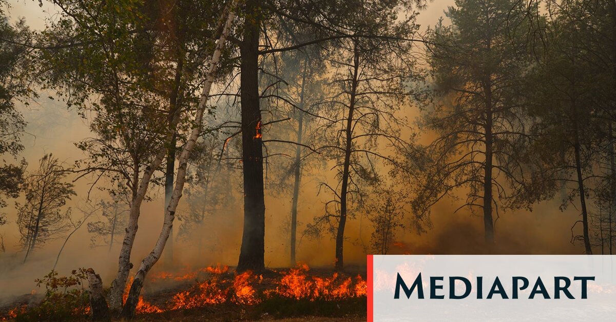 «J’ai vu un premier incendie, puis un deuxième un peu plus loin, puis un troisième»: Fontainebleau cernée par les flammes