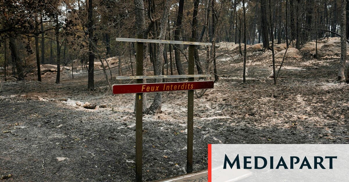 Feux de Fontainebleau: comprendre les origines humaines du sinistre