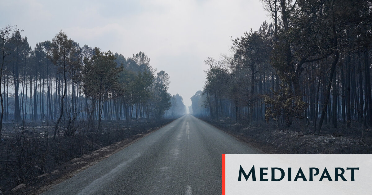 En Gironde, après le feu, le temps des questions