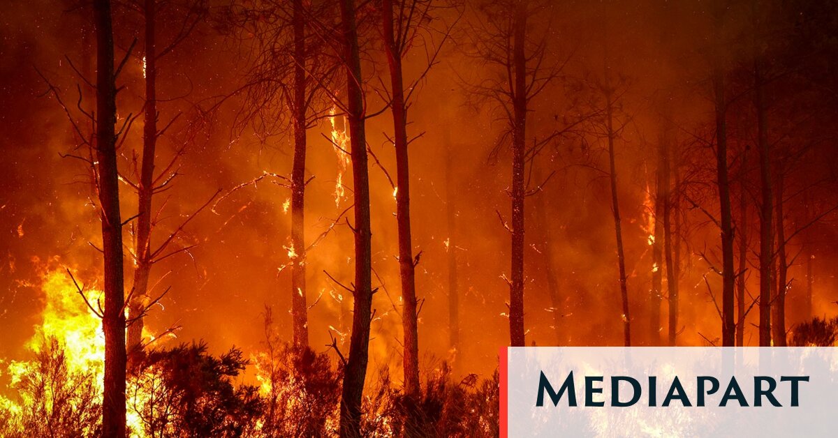Les feux de forêt, un puissant carburant pour les complotistes et l’extrême droite
