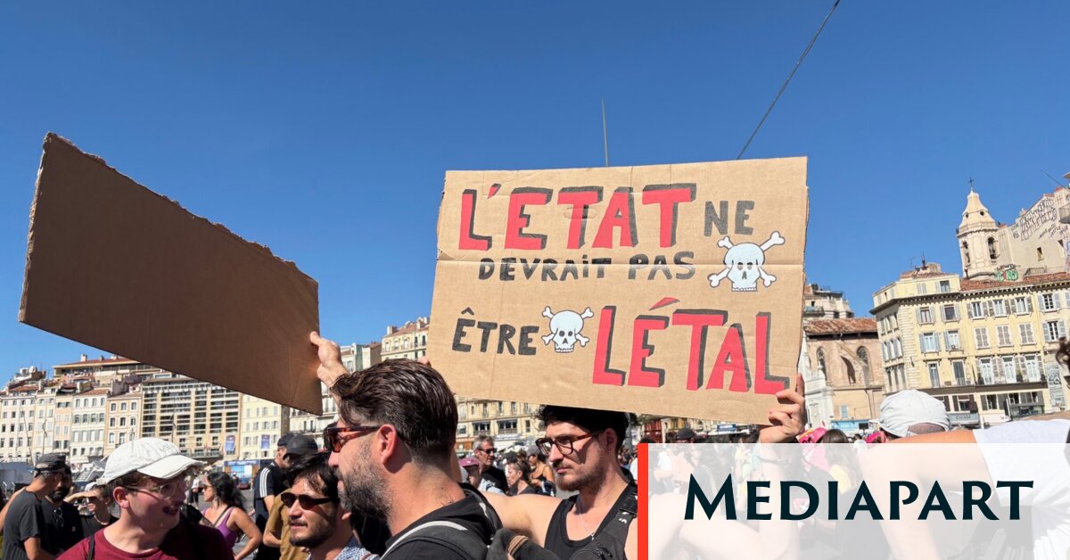 À Marseille, plusieurs milliers de personnes manifestent contre le «permis de tuer»