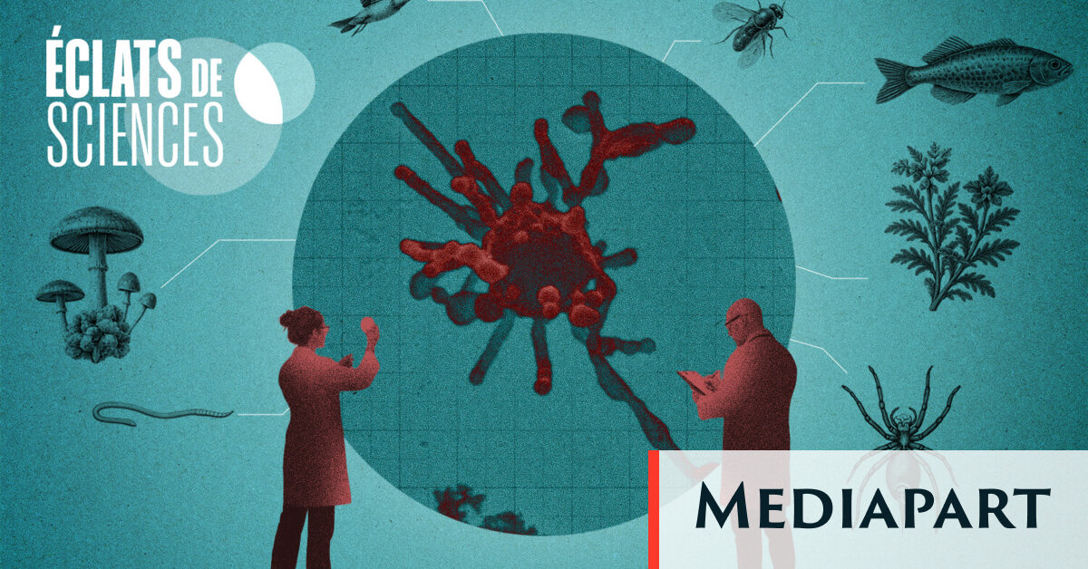 À la recherche de notre ancêtre microbien