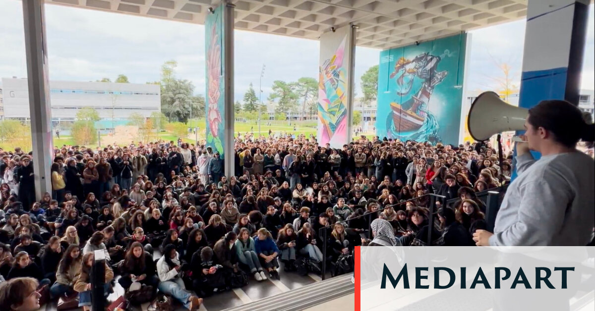 À Bordeaux, la mobilisation étudiante dans la nasse administrative