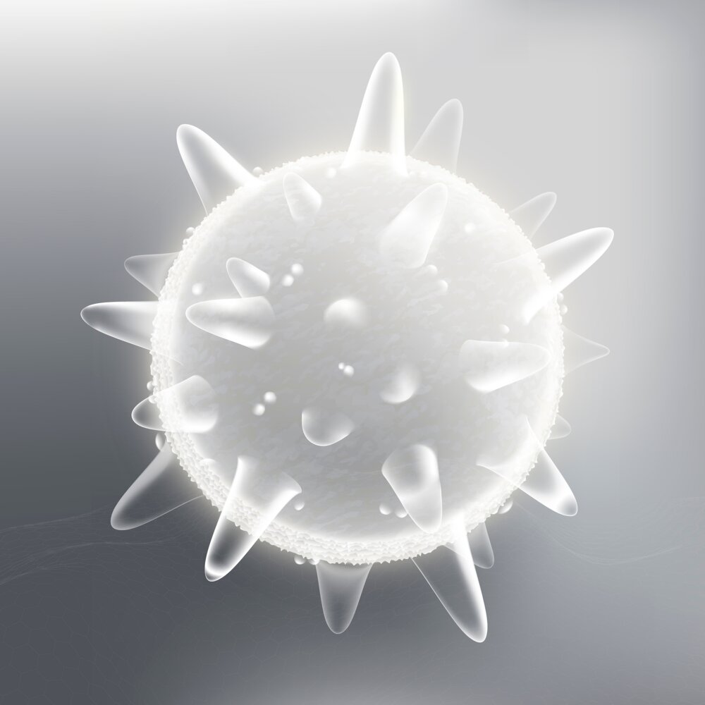 Illustration 7