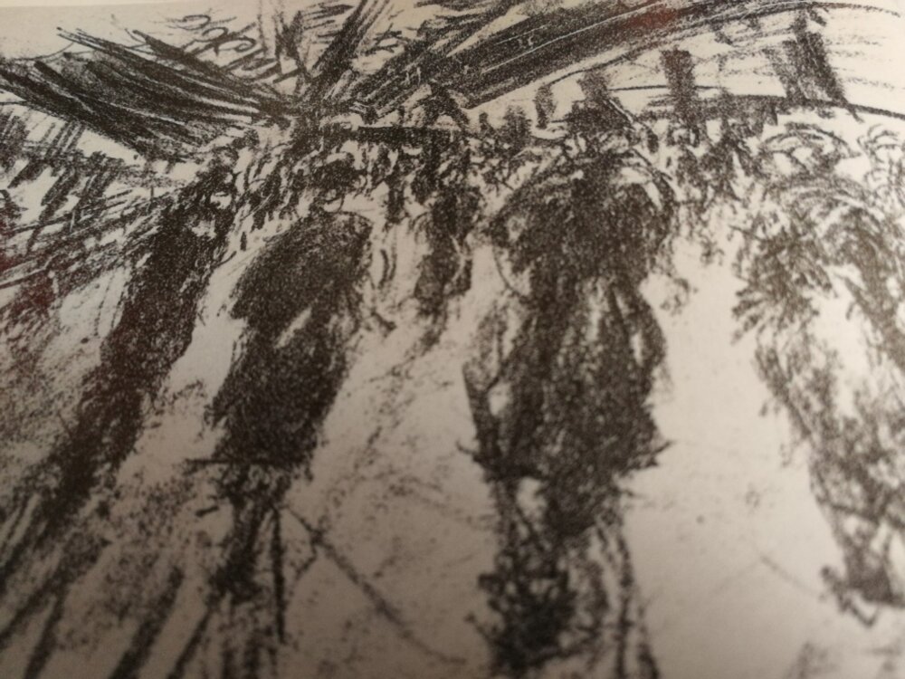Illustration 5