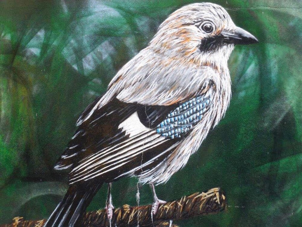 Illustration 6