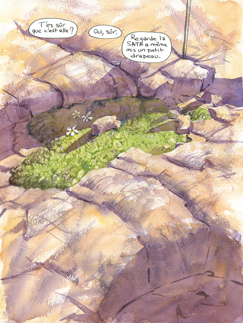 Illustration 13