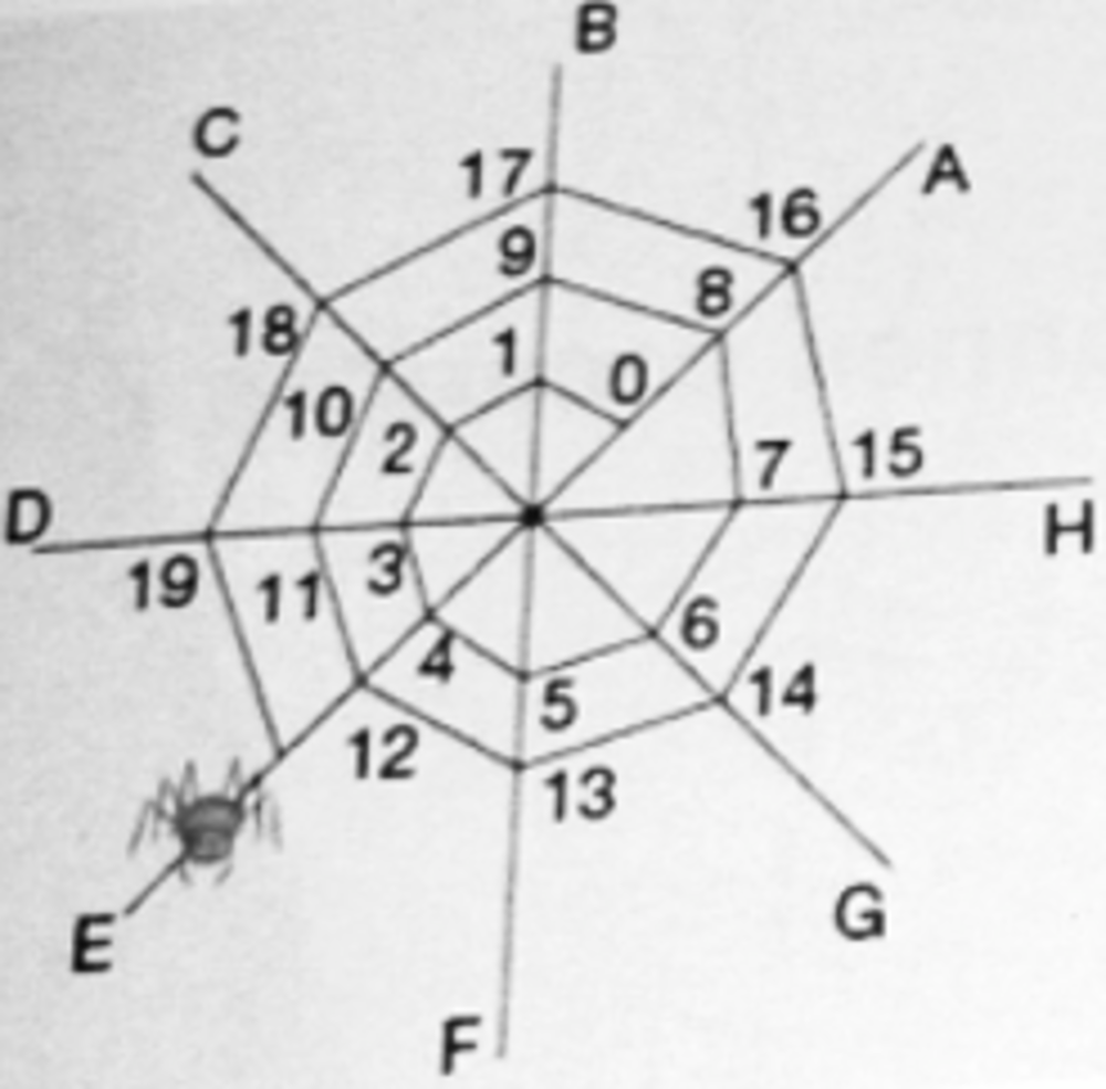 Illustration 8