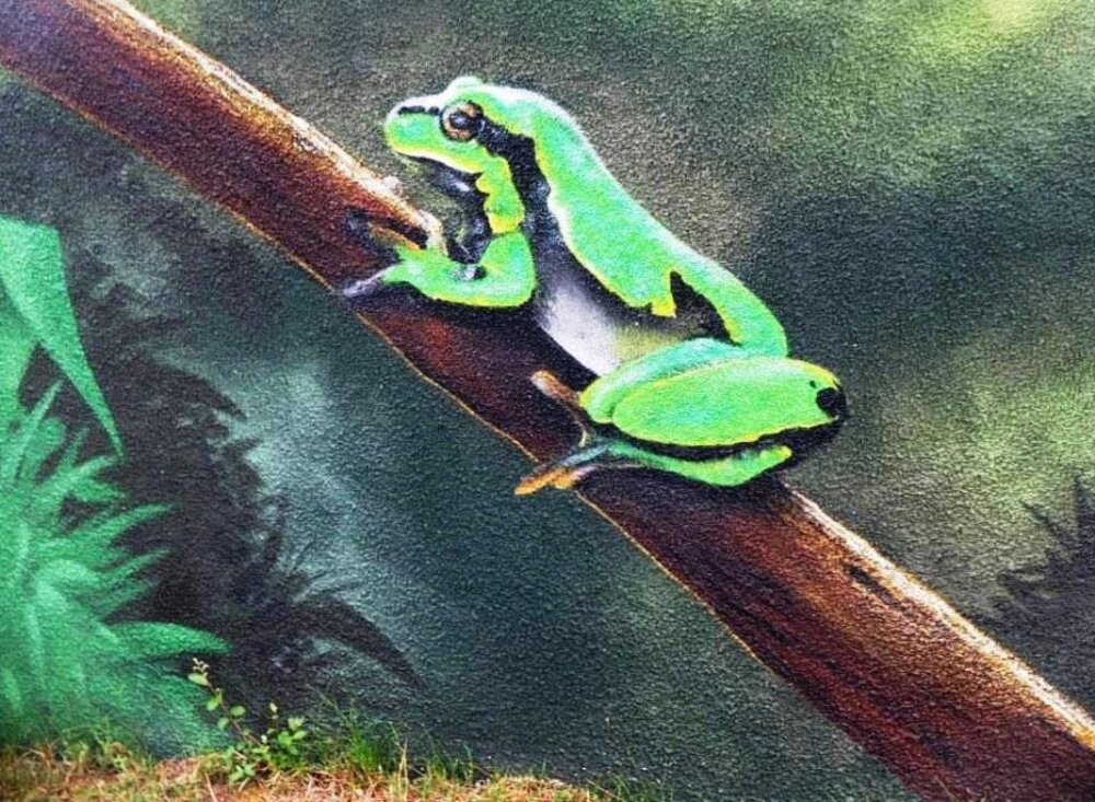 Illustration 6