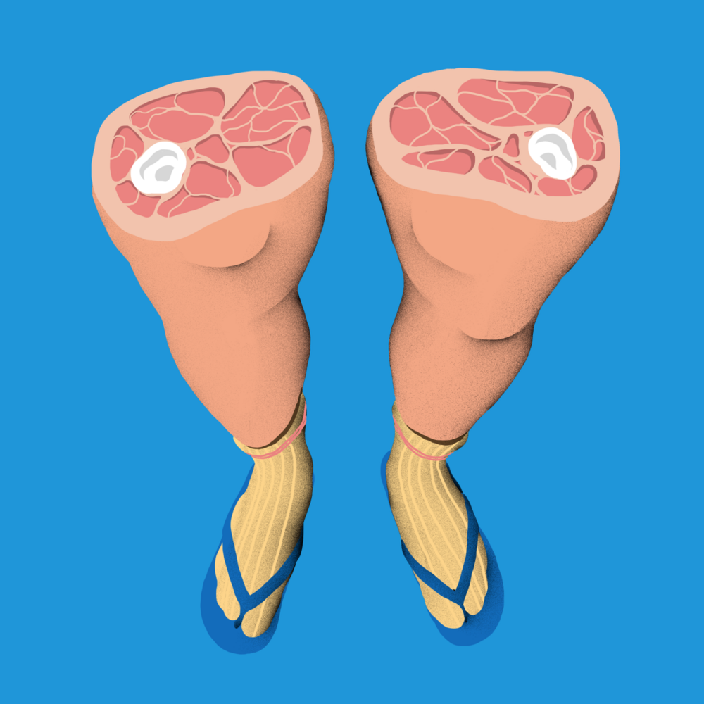 Illustration 7