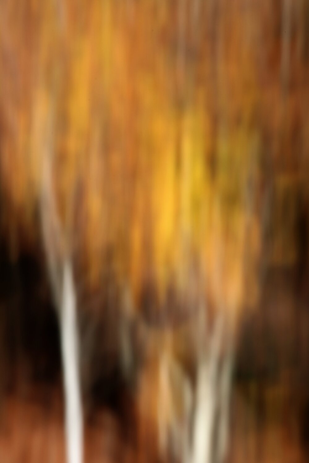 Illustration 6