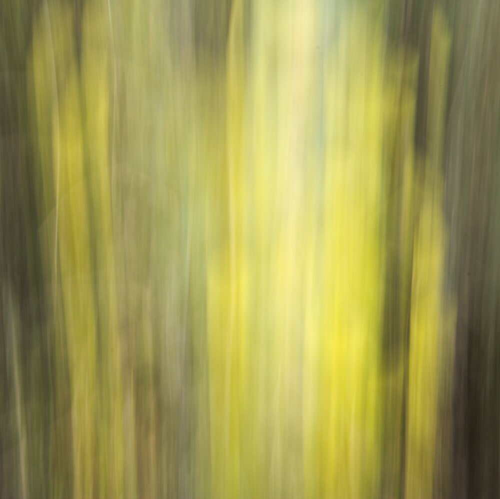 Illustration 6